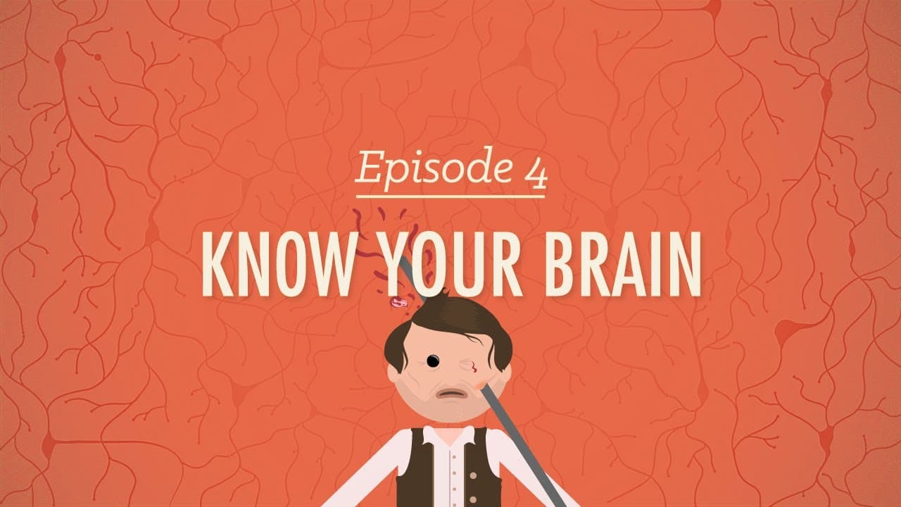 Psychologie: Poznejte svůj mozek