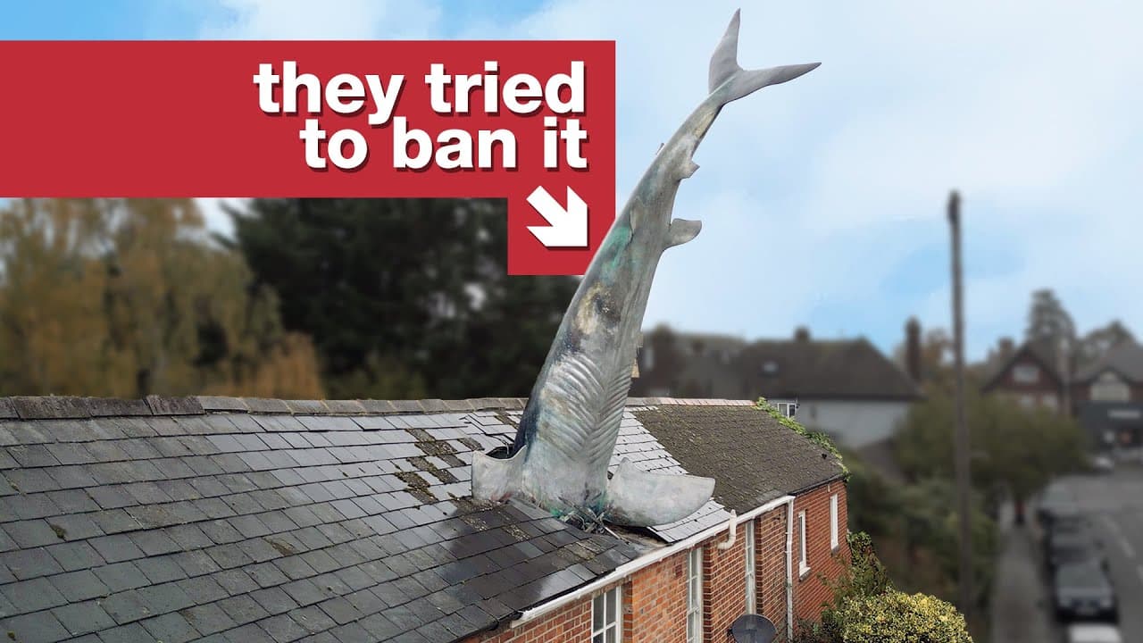 Spor o památkovou ochranu žraloka