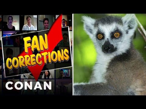 To není lemur, ale nártoun!