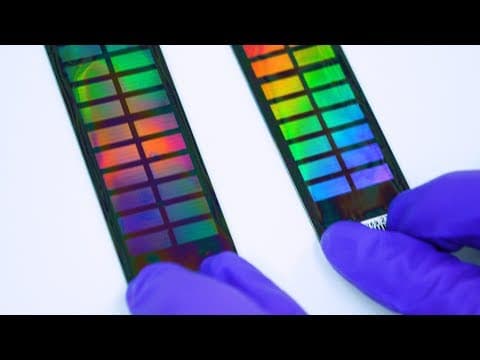 DNA testy a soukromé informace