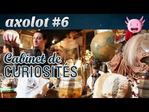 Kabinet kuriozit