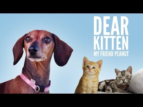 Můj kámoš Peanut