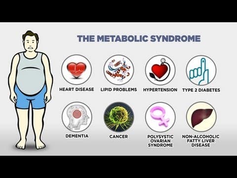 Obezita #1: Epidemie, která se týká každého