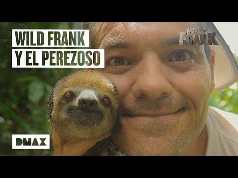 Seznámení s Vasilem, brazilským lenochodem