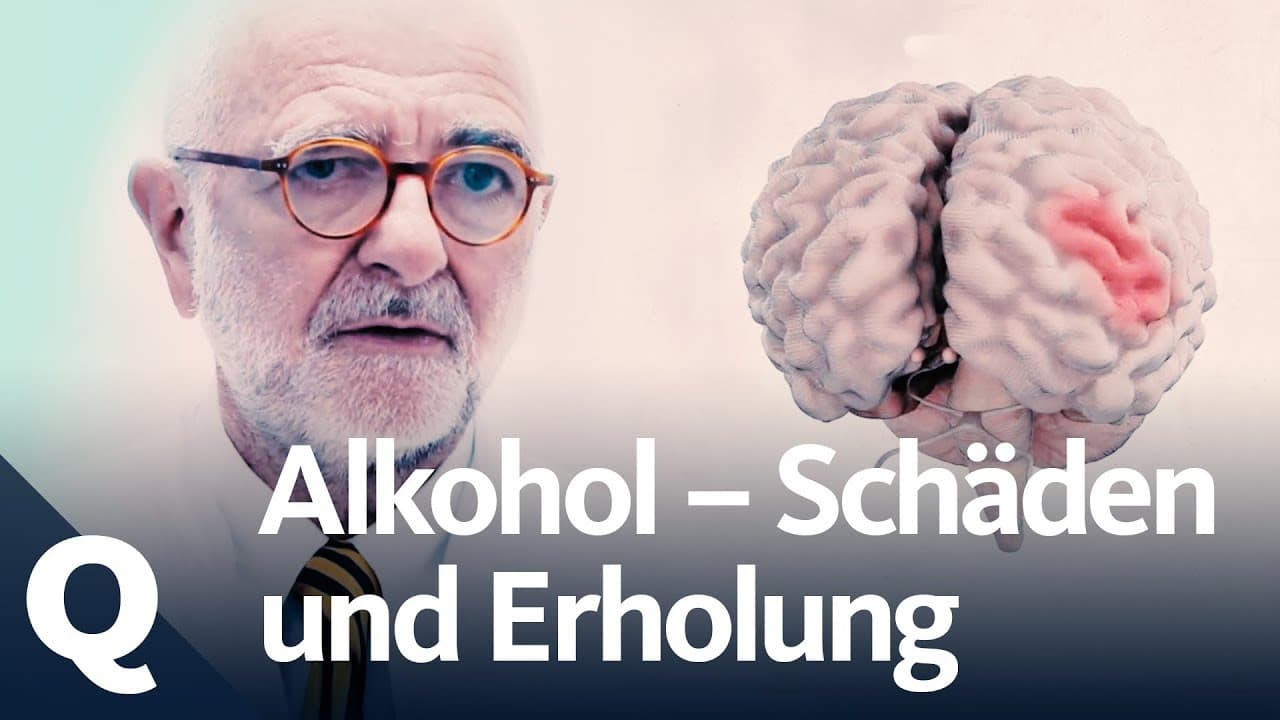 Dokáže se tělo zotavit po alkoholu?