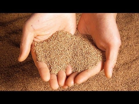 Je v pořádku dotýkat se Marsu?