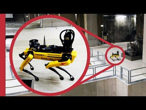 Využití robotických psů v reálném světě