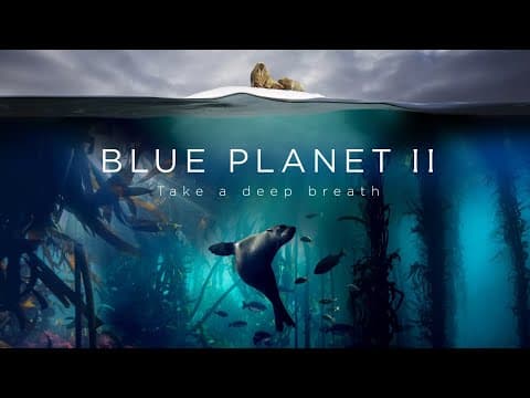 Modrá planeta II