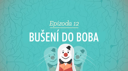 Psychologie: Bušení do Boba